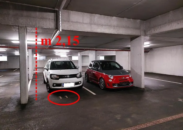 Meise * Бад-Кляйнкірхгайм